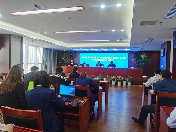 徽鹽地產(chǎn)集團開展明源與財務(wù)接口實操培訓(xùn)