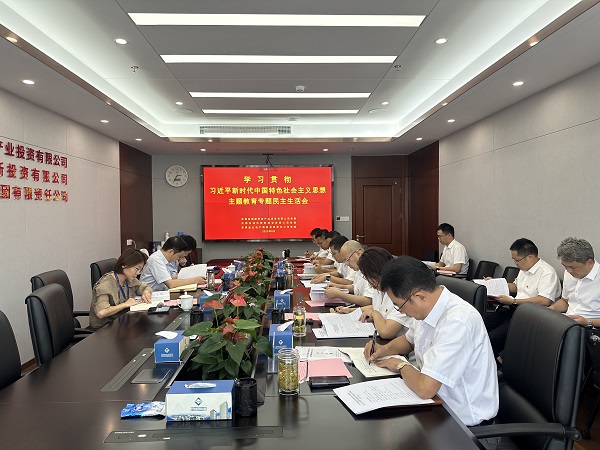 安徽鹽業地產集團等三家公司黨委召開學習貫徹習近平新時代中國特色社會主義思想主題教育專題民主生活會