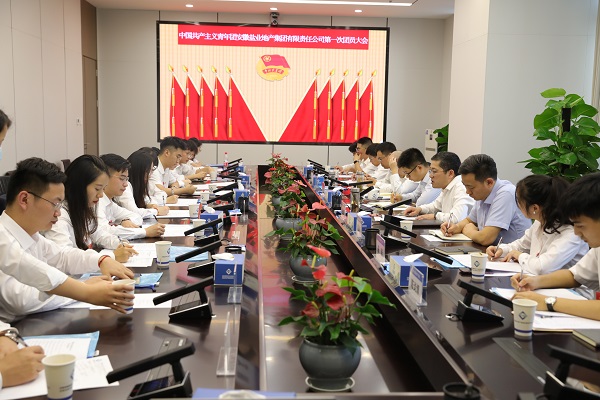 青春向黨傳薪火 踔厲奮發新時代——安徽鹽業地產集團團支部成立大會暨團員大會勝利召開